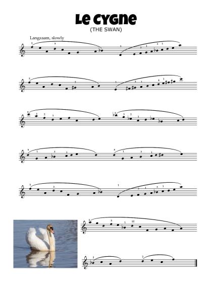 the-swan-camille-saint-saens-rv-5.pdf