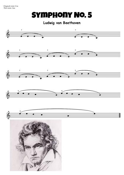 symphony-no-5-beethoven-rv2.pdf